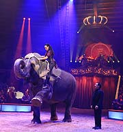 Jana Mandana Lacey-Krone mit der Elefantendame Bara bei der Premiere der 2. Winterspielzeit 2020 am 01.02.2020 (©Foto: Martin Schmitz)